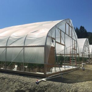 30ft 650 series standard greenhouse