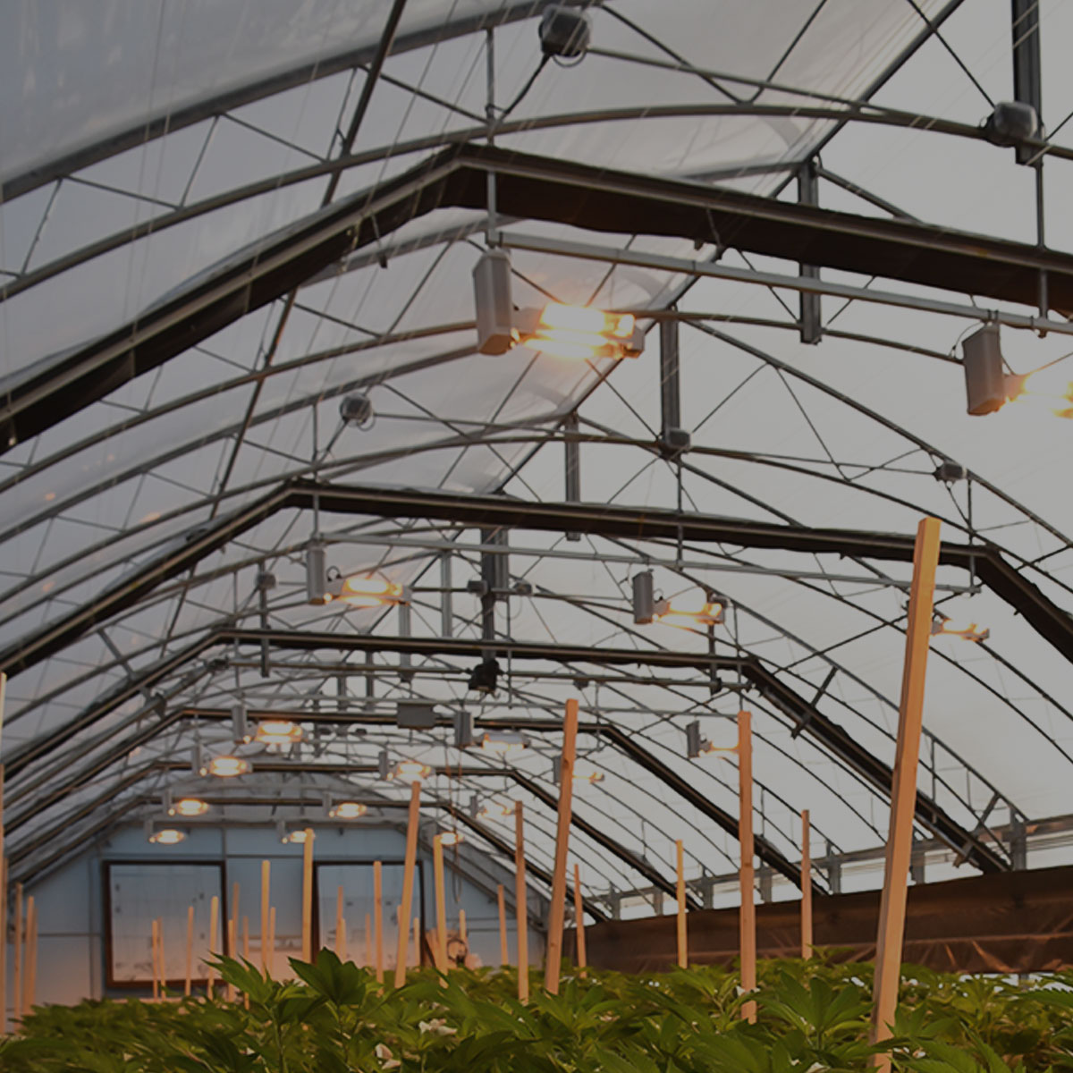 Guardian series interior light deprivation greenhouse