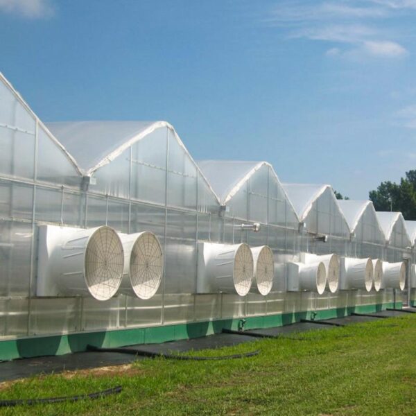 Standard Gutter Connect Greenhouses
