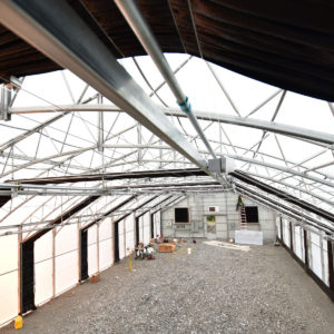 30′ WIDE TITAN CATHEDRAL GREENHOUSE