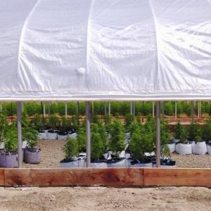 Exterior blackout greenhouse for cannabis