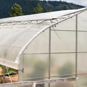 Traditional greenhouse for growing cannabis