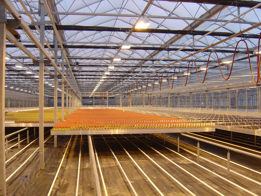 Heavy Duty Greenhouse Rolling Benches