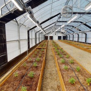 30' Wide Titan Cathedral Interior Automated Light Deprivation Greenhouse Kit